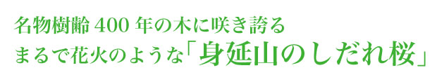 /data/project/138/サブ2.jpg?1477721356