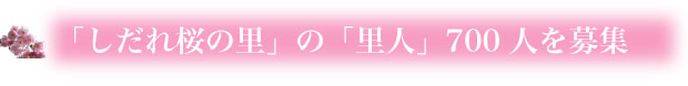 /data/project/138/身延5.jpg?1477754457