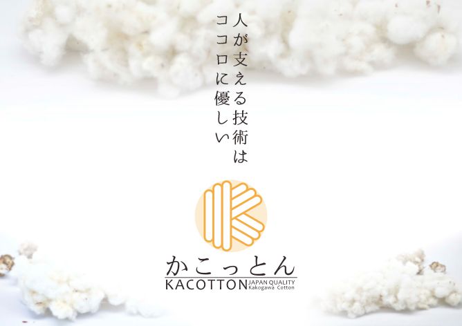 /data/project/195/kacotton.JPG