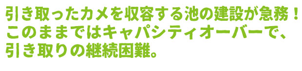 /data/project/310/題名7.jpg?1513877357