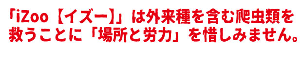 /data/project/310/題名9.jpg?1513877624