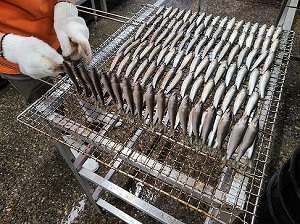 しんくみ新型コロナ対応事業者応援プロジェクト 老舗川魚問屋が作る琵琶湖産あゆの佃煮を食べてほしい Mottainaiもっと